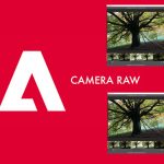 Download Adobe Camera Raw 16.4 Full – Chỉnh sửa ảnh Raw